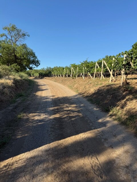 Chateau Purcari主图