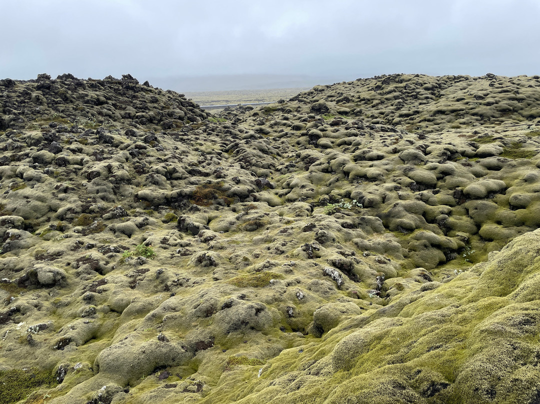 Eldhraun Lava Field-科克拜亚克劳斯特必去景点