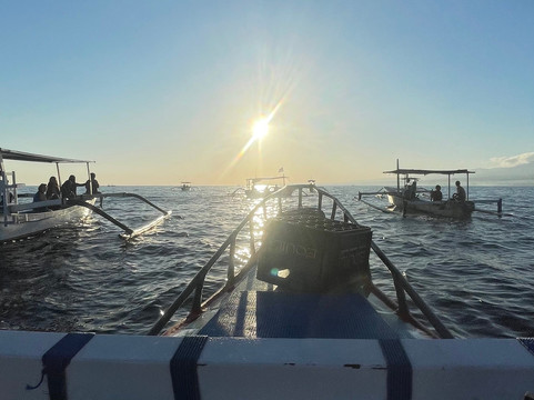 Dolphin Boat Lovina-罗威那海滩必去景点