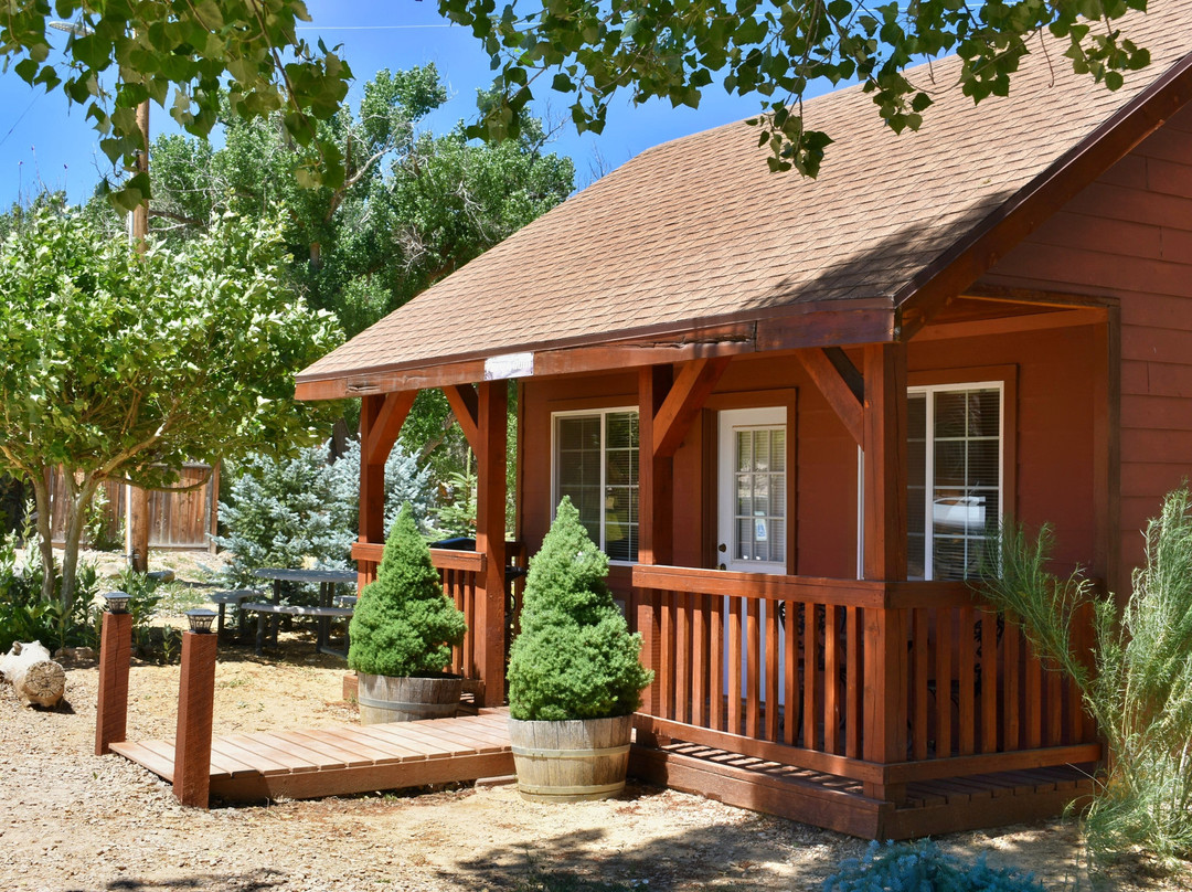 Arrowhead Country Cabins主图