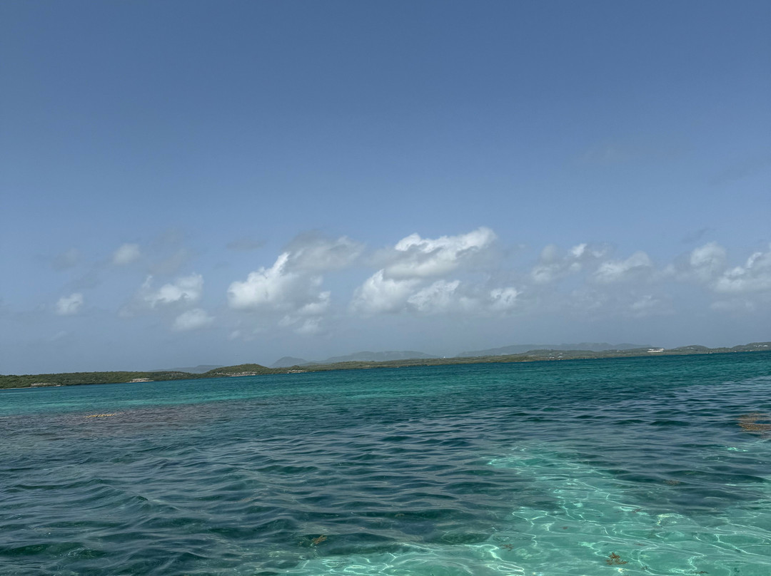 Stingray City-安提瓜必去景点