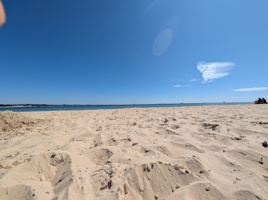 Shell Bay-Studland必去景点