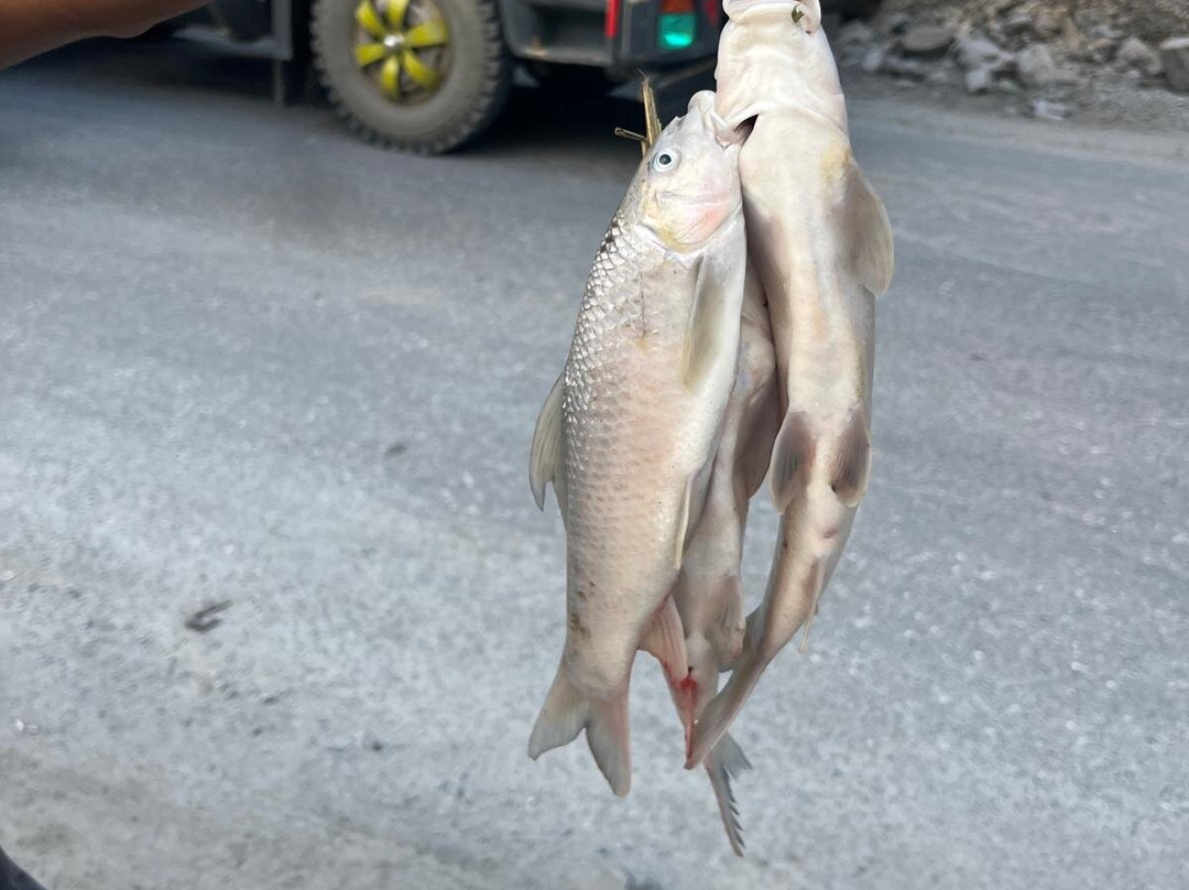 Trisuli River-牯岭达必去景点