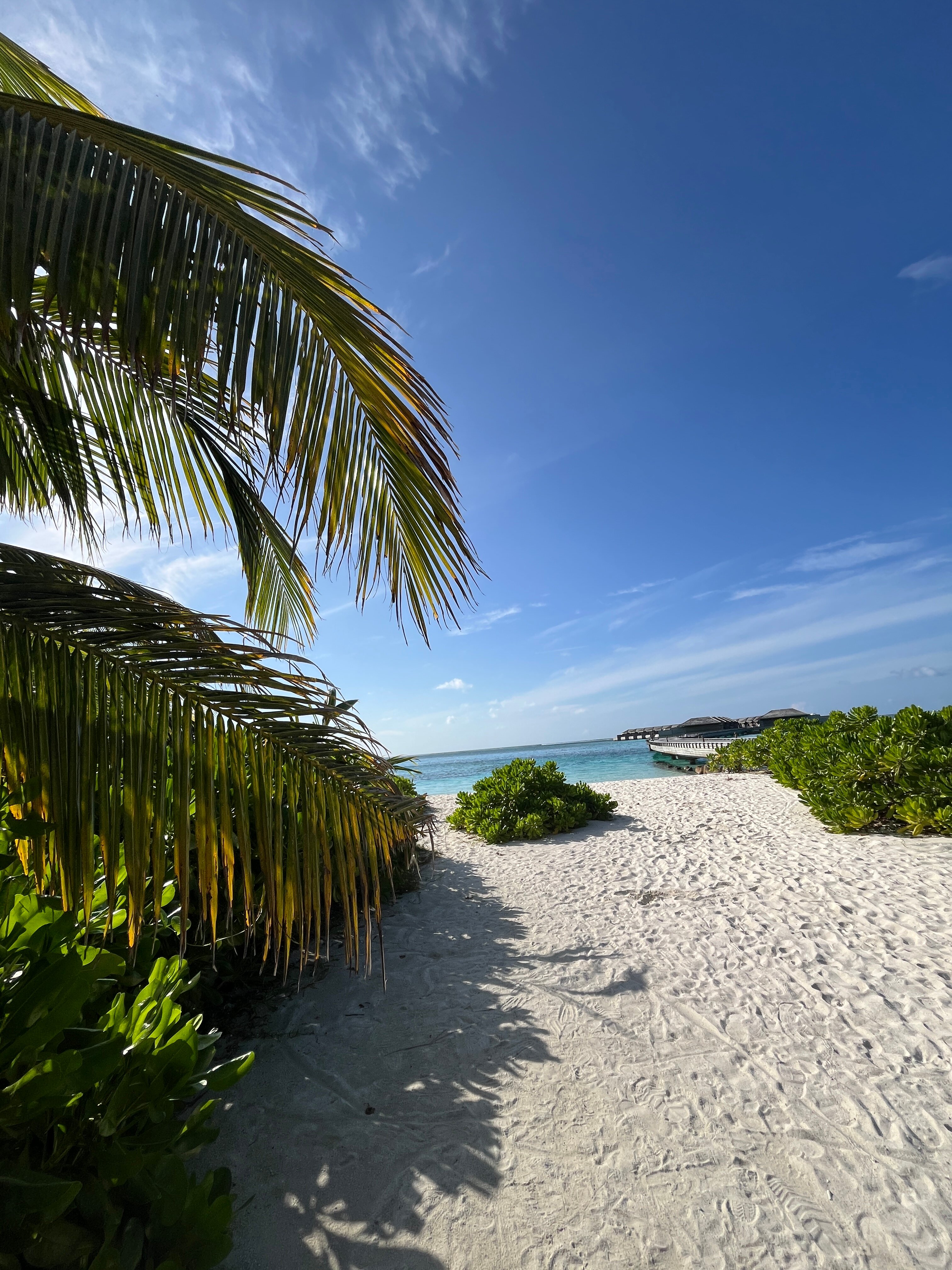 Jawakara Islands Maldives-官方