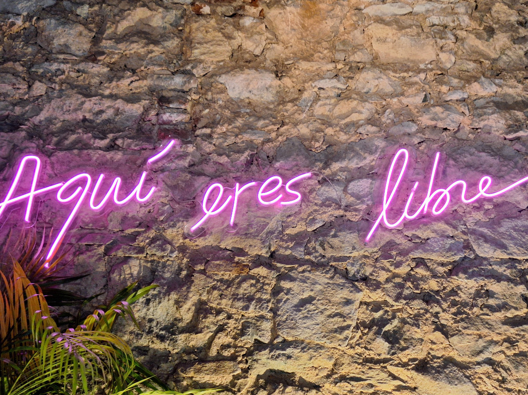 Marea Ceviche & Latin Food