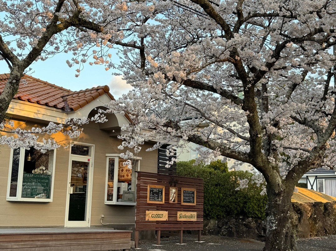 Izu Kogen Gelato Kobo R65