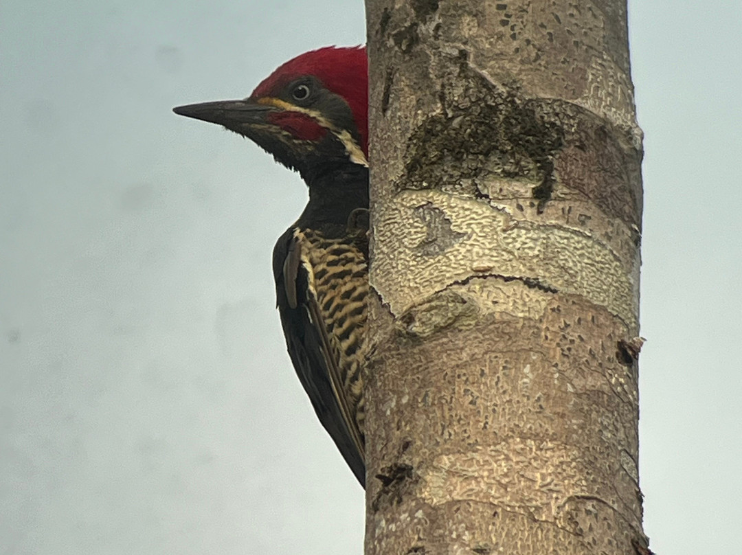 Casita y Tours Happy Feet主图