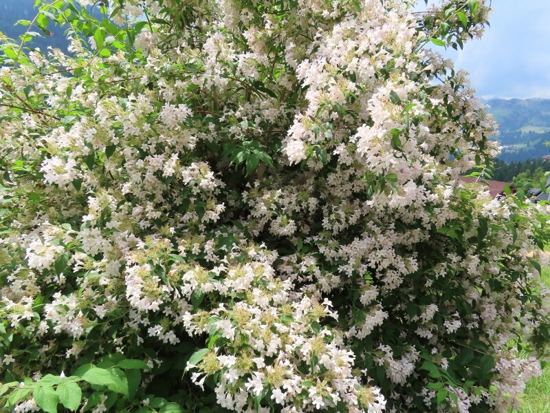 Hotel Garni la Stua-浴室