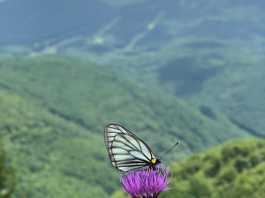 Joshin'etsukogen National Park-长野县必去景点