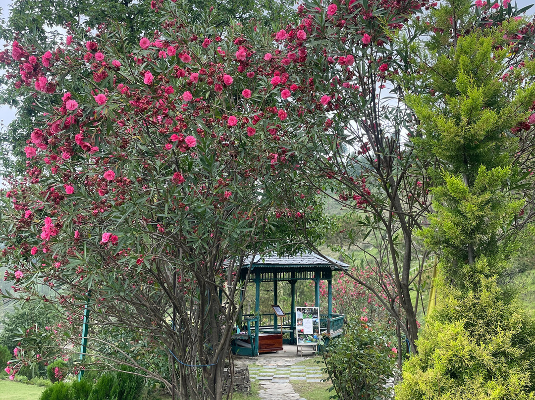 The Manor Luxury Apartments, Shimla主图