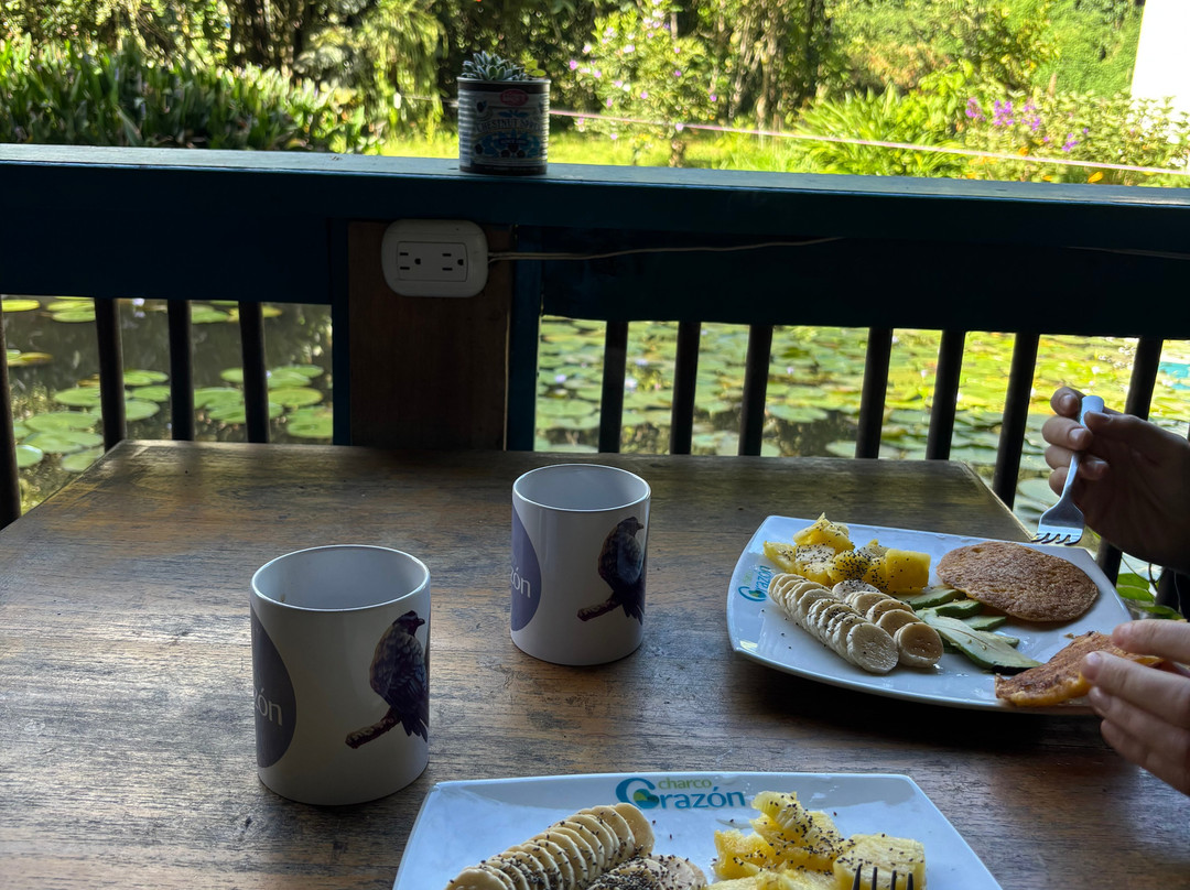 Charco Corazon主图