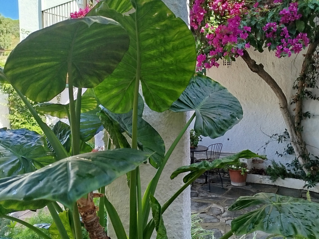 Hotel Horta d'en Rahola主图