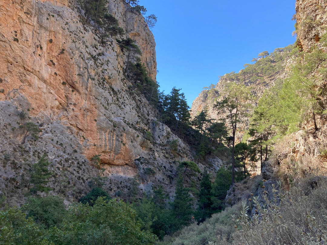 Agia Irini Gorge-Sougia必去景点