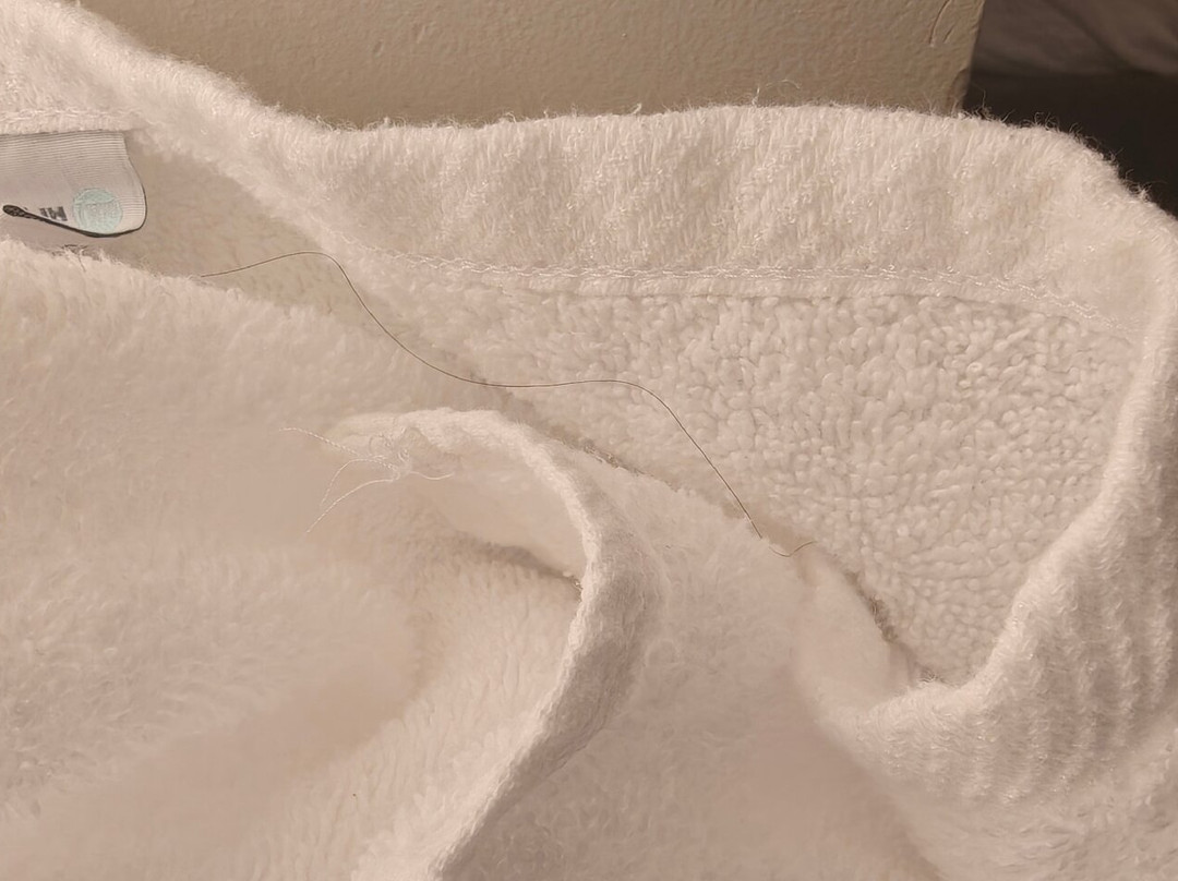 Staybridge Suites Charlottesville Airport by IHG主图