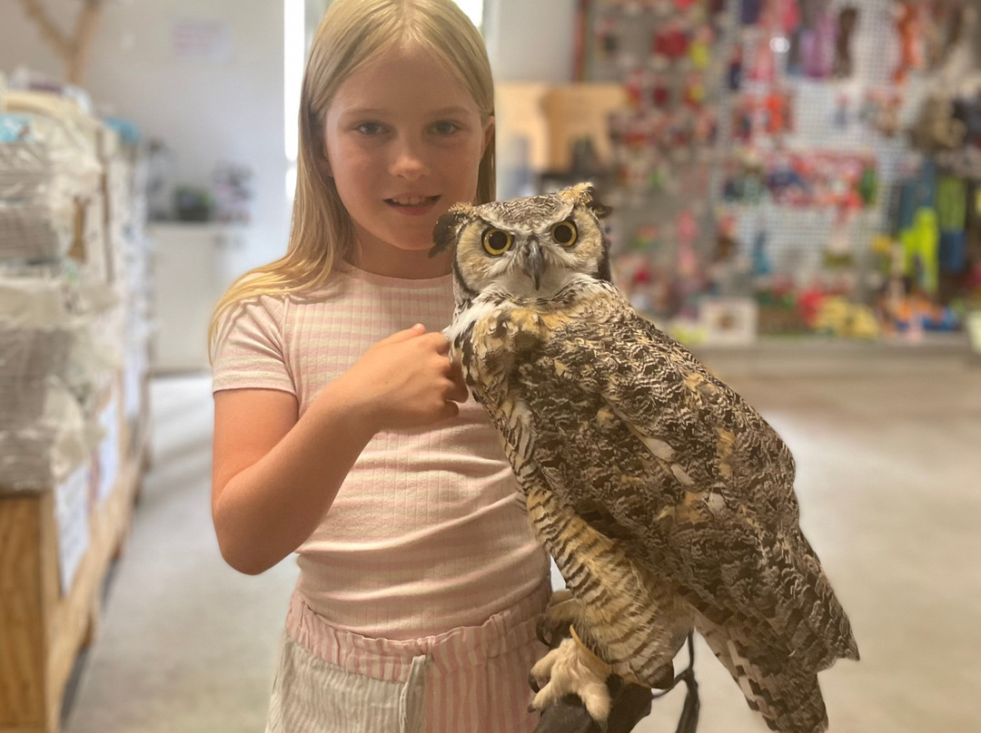 Dyrenes Verden Filskov Mini Zoo i Billund-格林斯泰兹必去景点