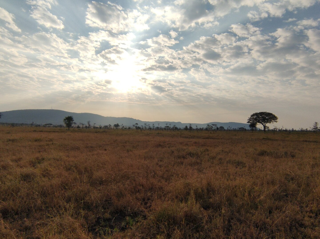 Robin Safari Camp-Seronera必去景点