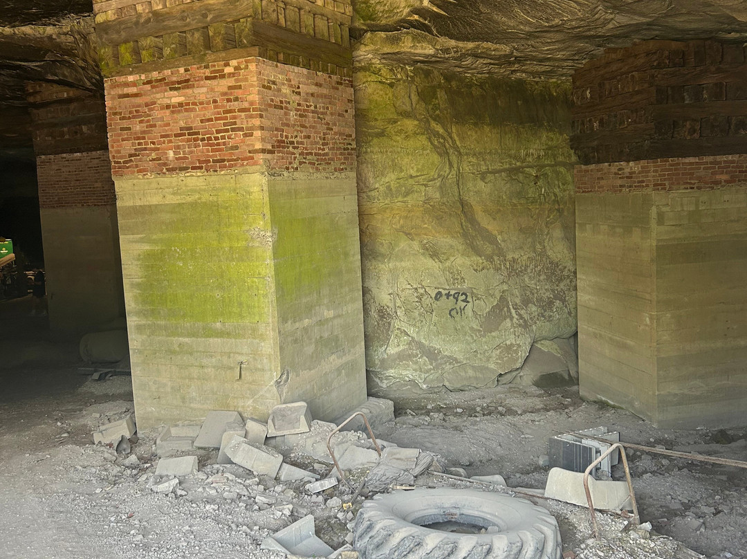 Crystal City Underground-Crystal City必去景点