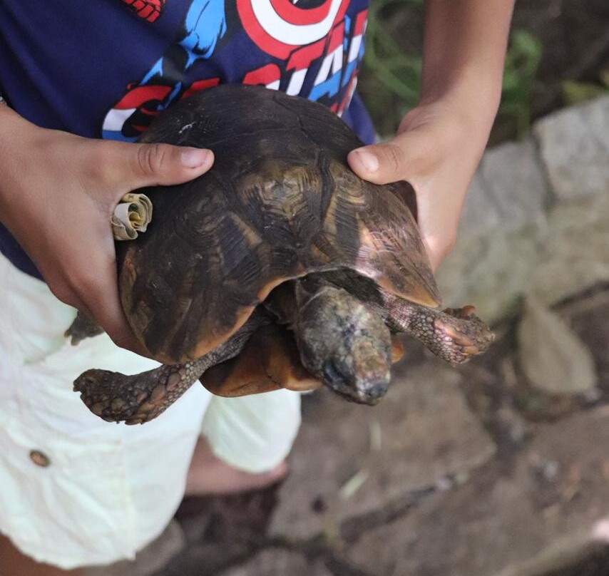 Nosy Be Promenade Private Day Tours-Ambatoloaka必去景点