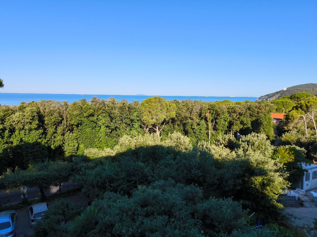 Hotel Rosa del Tirreno主图