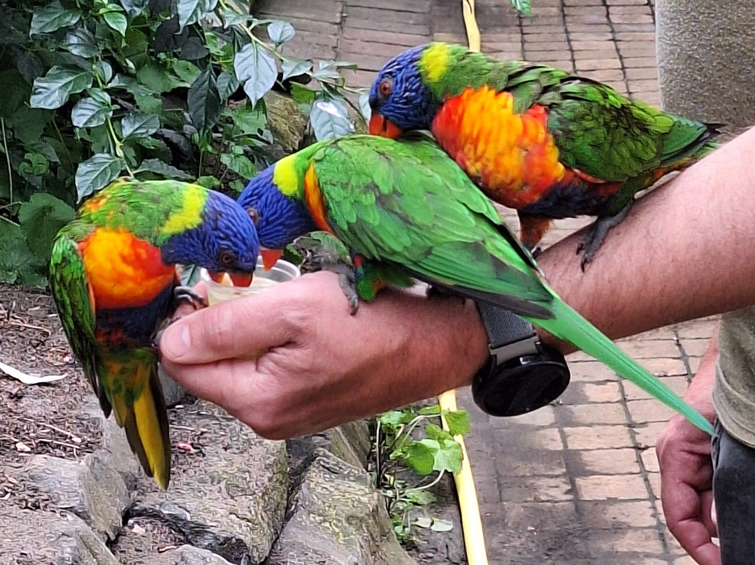 Texel Zoo-特塞尔必去景点