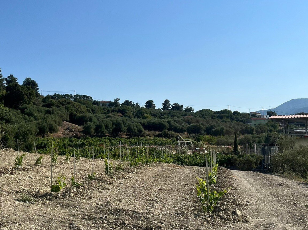 Vakakis Winery-Karlovasi必去景点