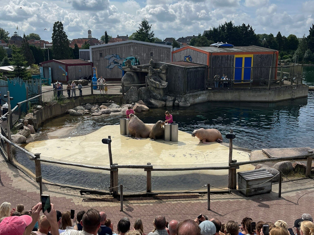 Dolfinarium-Harderwijk必去景点
