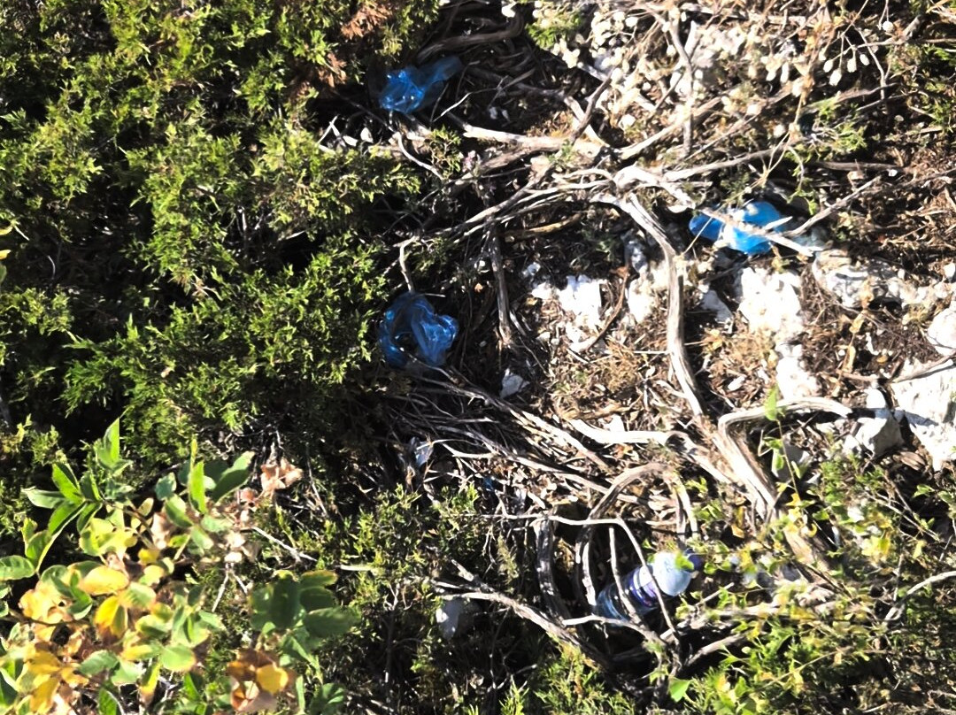 Catak Kanyonu Cam Seyir Terası-Azdavay必去景点