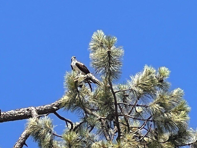 Outdoors Inn Sandpoint | Ponderay主图