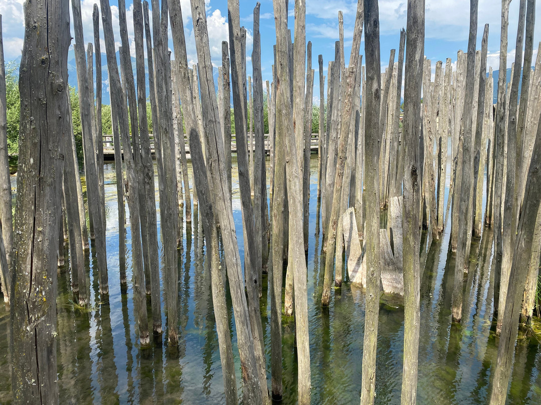 Museo delle Palafitte di Fiavé-Fiave必去景点