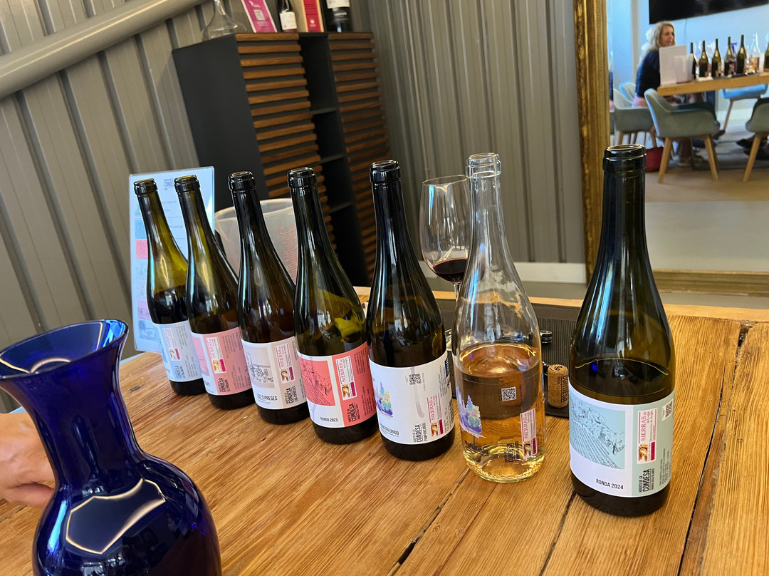 Bodega Huerto De La Condesa-隆达必去景点