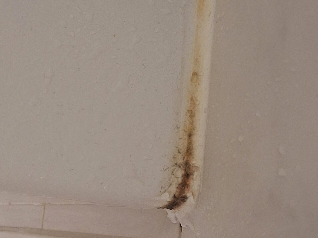 Globales Post Hotel & Wellness主图