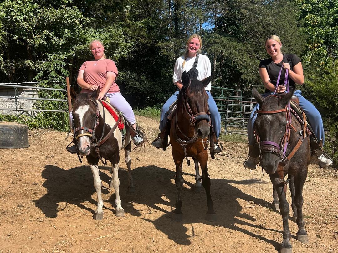 Bear Creek Trail Rides and Stable-Walnut Shade必去景点