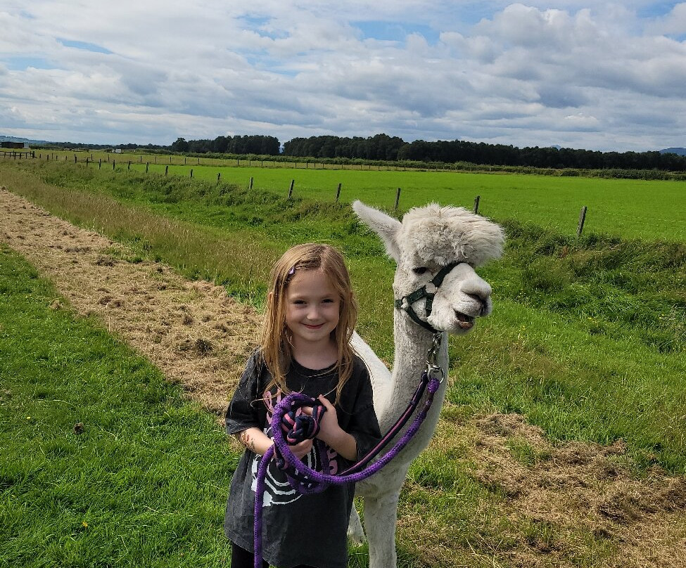 The Alpaca Trekking Centre-斯特灵必去景点