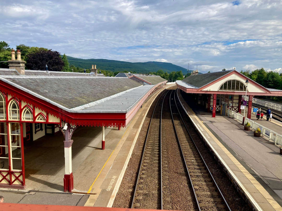 Strathspey Railway-阿维莫尔必去景点