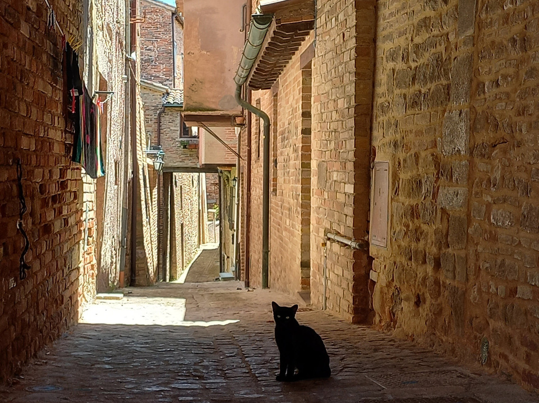 Centro Storico - Sarnano-Sarnano必去景点