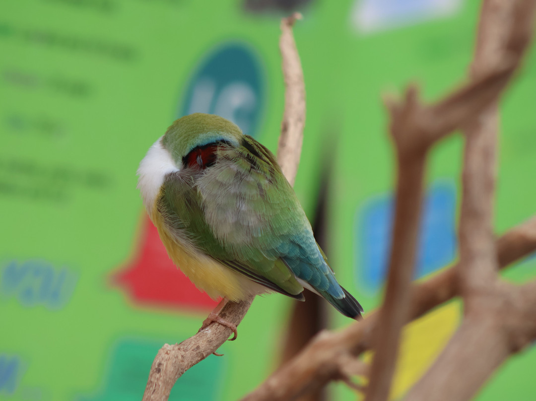 Butterfly World & Farm Park-Wanborough必去景点