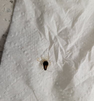 La Quinta Inn & Suites by Wyndham Knoxville East主图