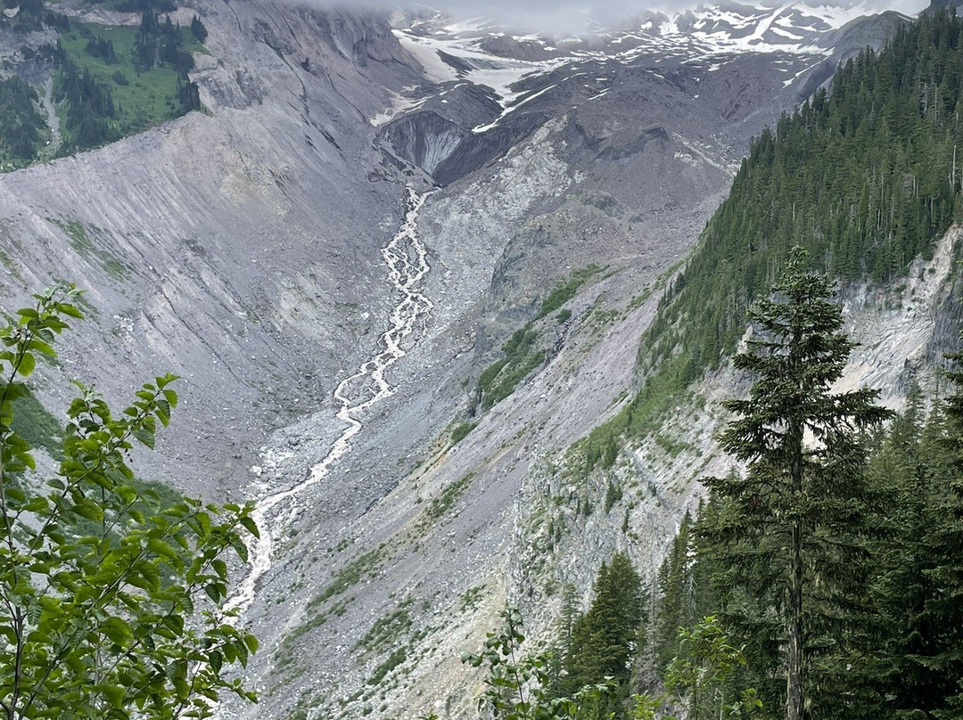 Nisqually Vista Loop-雷尼尔山国家公园必去景点