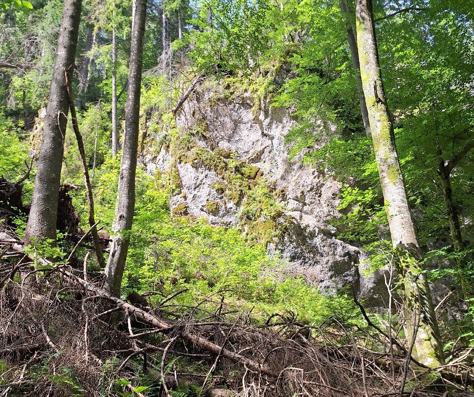 Juráňová dolina-Vitanova必去景点