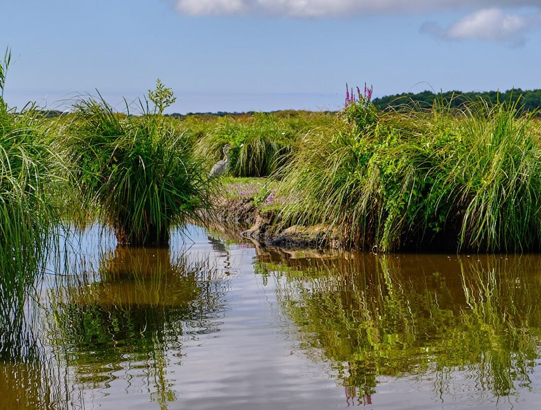 La Faune Briéronne-Saint-Lyphard必去景点
