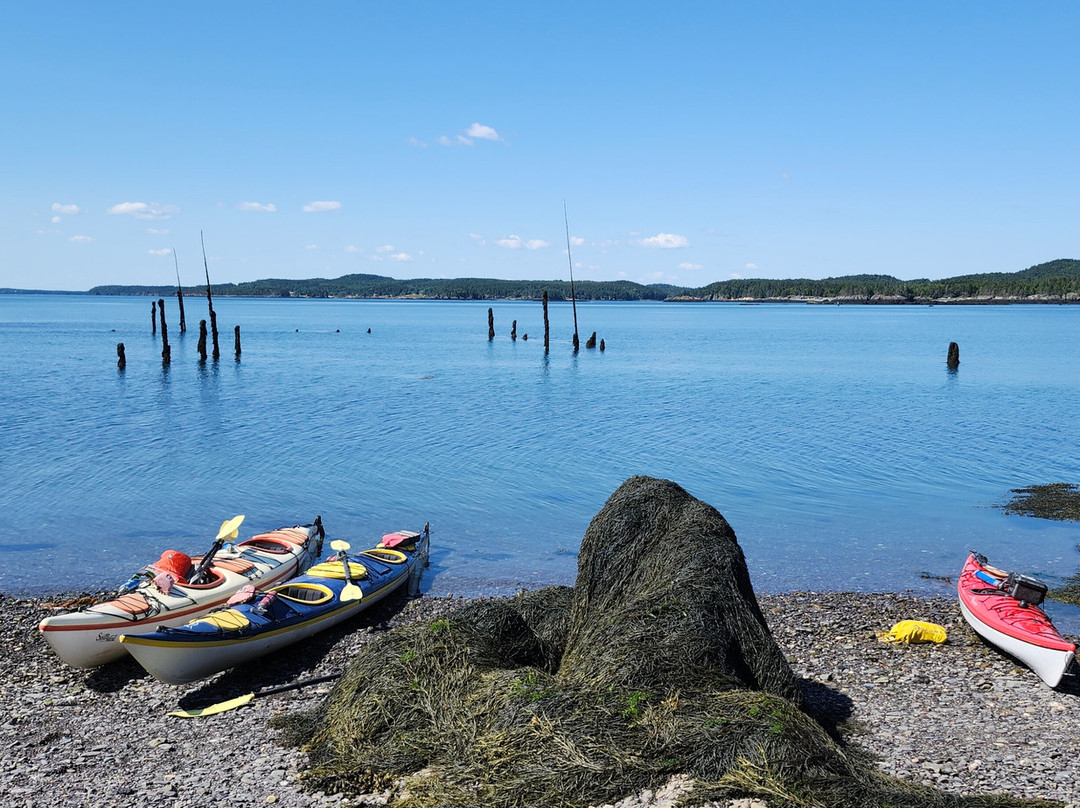 Seascape Kayak Tours Inc.-Deer Island必去景点