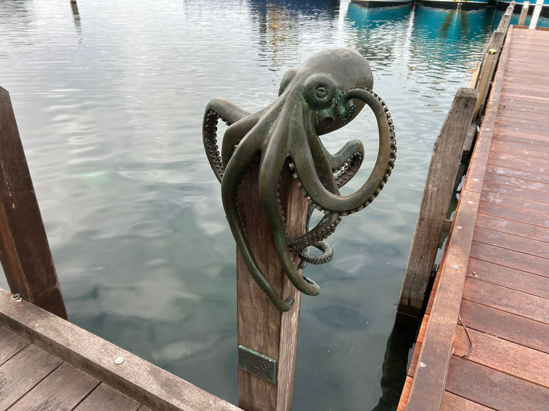 Fremantle Fishing Boat Harbour-弗里曼特尔必去景点