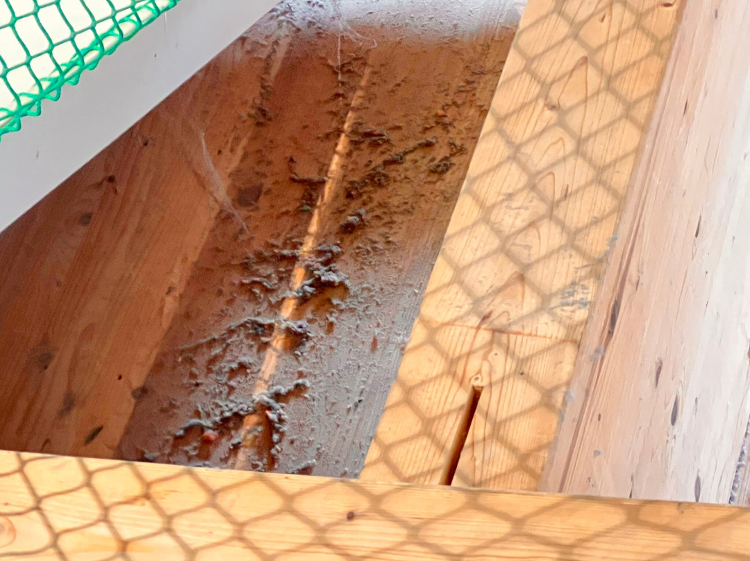 Universum Bremen-不莱梅必去景点