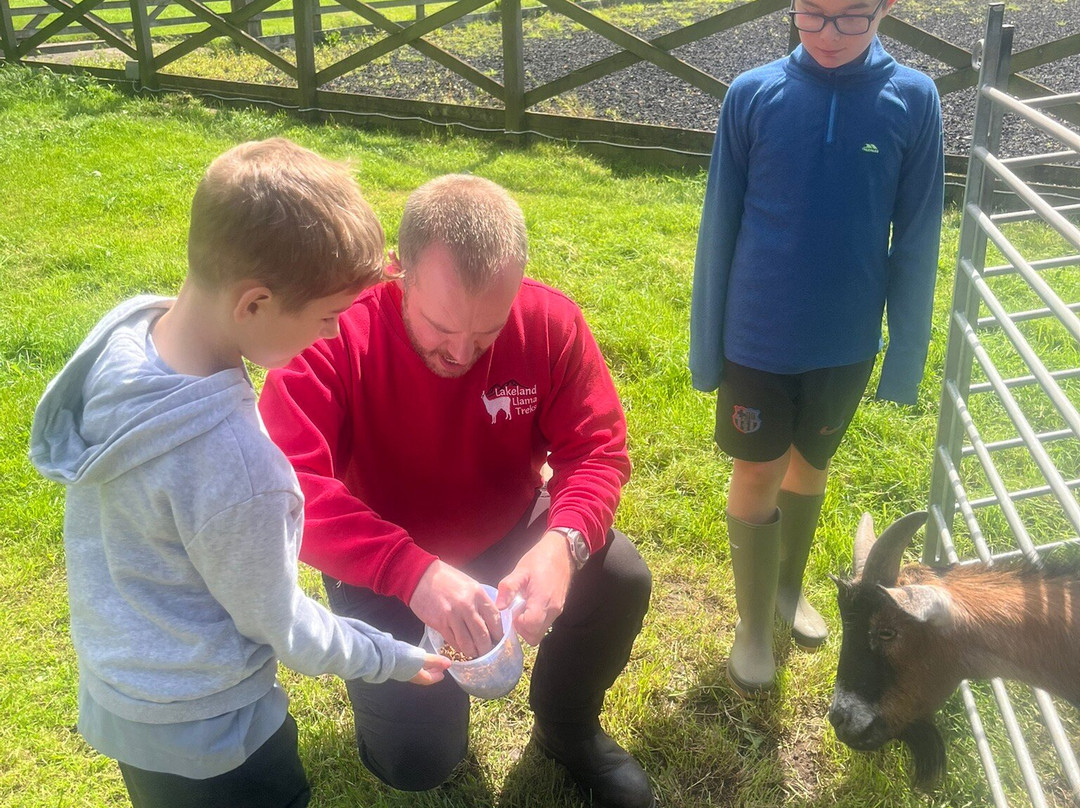 Lakeland Llama Treks-Melmerby必去景点