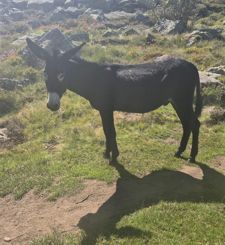 Le Dahu Ariégeois-Serres-sur-Arget必去景点
