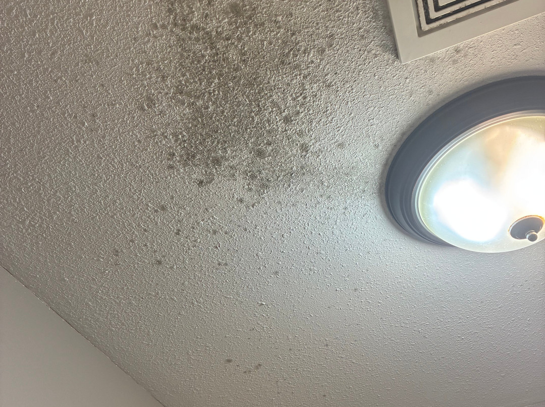 Super 8 by Wyndham Rantoul主图