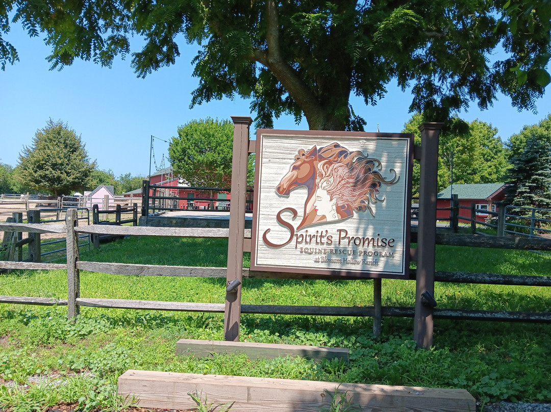 Spirit’s Promise Equine Rescue-Riverhead必去景点