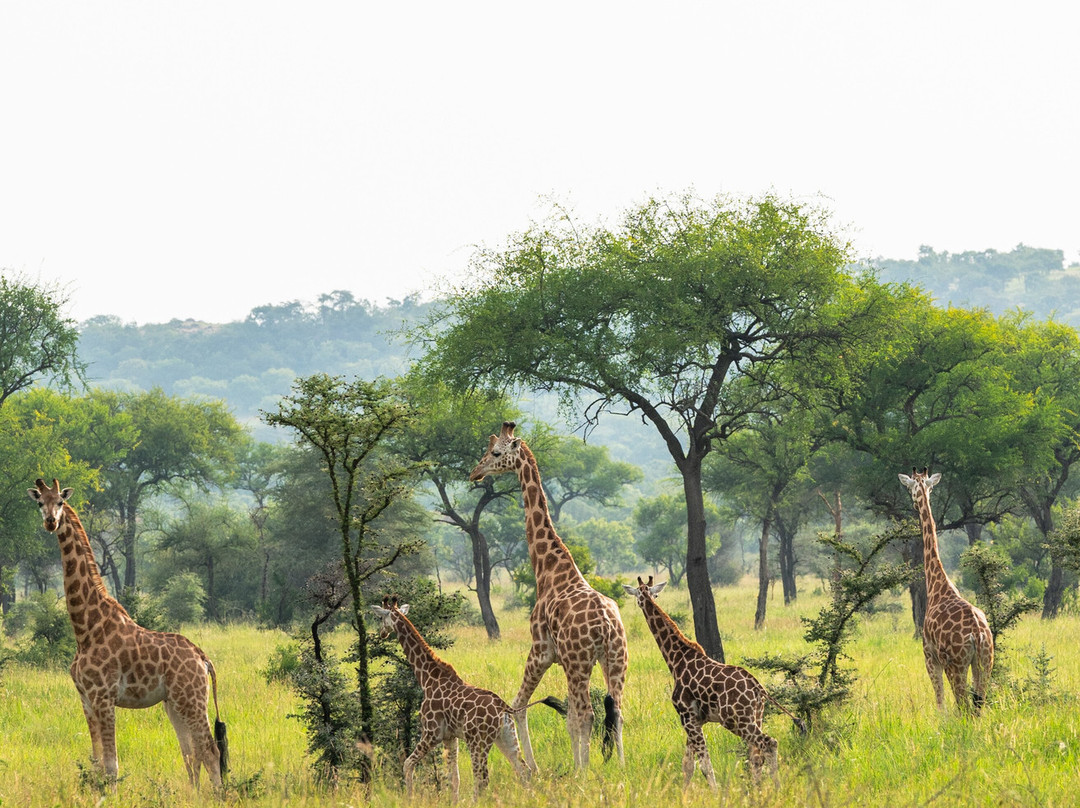 Mt. Elgon National Park-Eastern Region必去景点