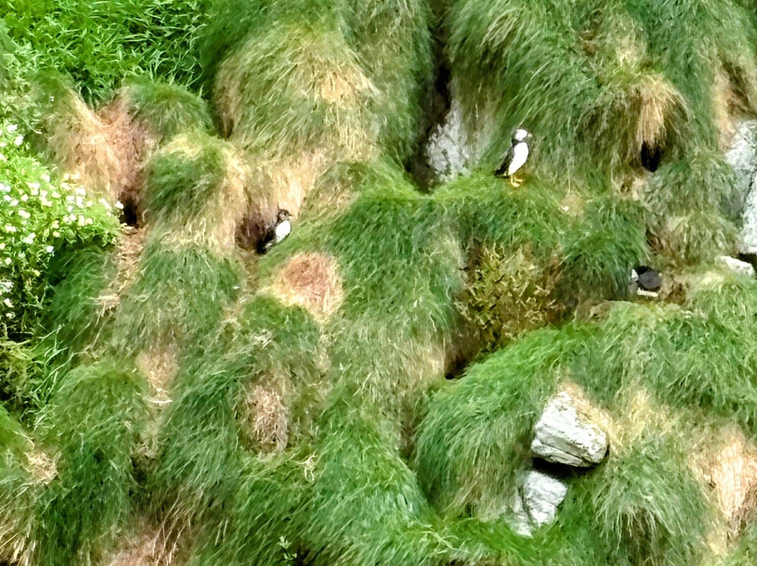 SkyeXplorer Boat Trips-Uig必去景点