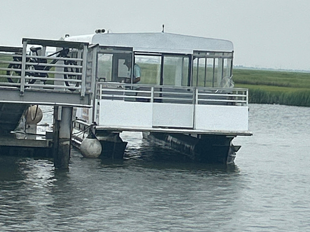 Salt Marsh Safari The Skimmer-Stone Harbor必去景点